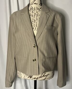 • Rachel Zoe Taupe/Beige Pinstripe Blazer Women's M Button Accent Jacket